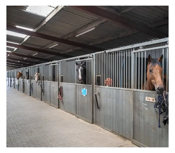 Stalling en Pension pony's en paarden Hippisch Centrum Boekend Venlo